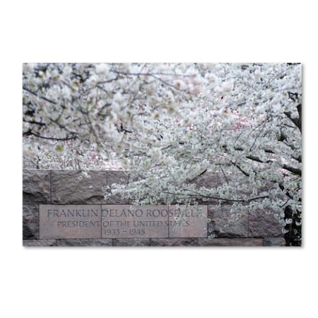 CATeyes 'Cherry Blossoms 2014-4' Canvas Art,16x24